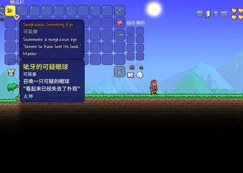 泰拉瑞亚什么方法能赚钱 泰拉瑞亚什么方法能赚钱