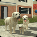宠物犬模拟3d
