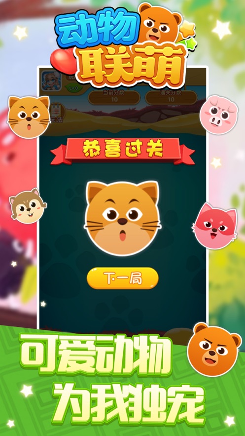 动物连萌-1