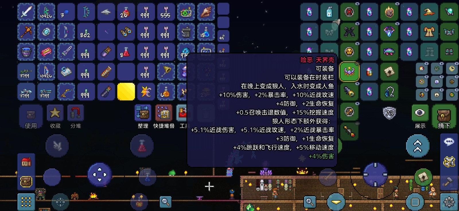 泰拉瑞亚饰品如何搭配 泰拉瑞亚饰品如何搭配