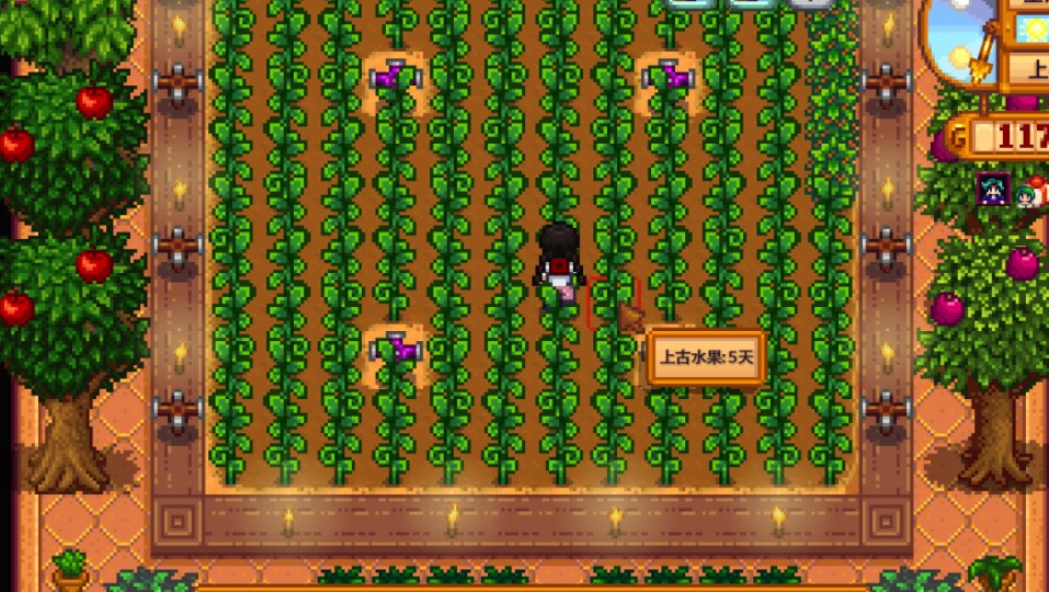 星露谷物语农作物种植有哪些玩法