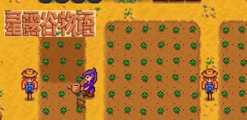 星露谷物语草莓作物怎么样