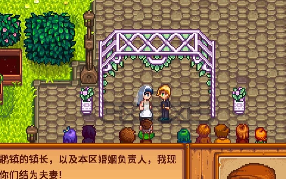 星露谷物语可结婚对象怎么提高好感 星露谷物语可结婚对象怎么提高好感