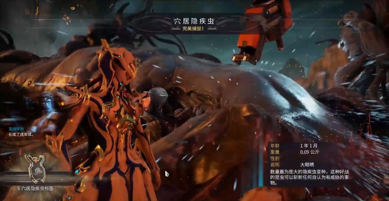 星际战甲石印该怎么快速刷取