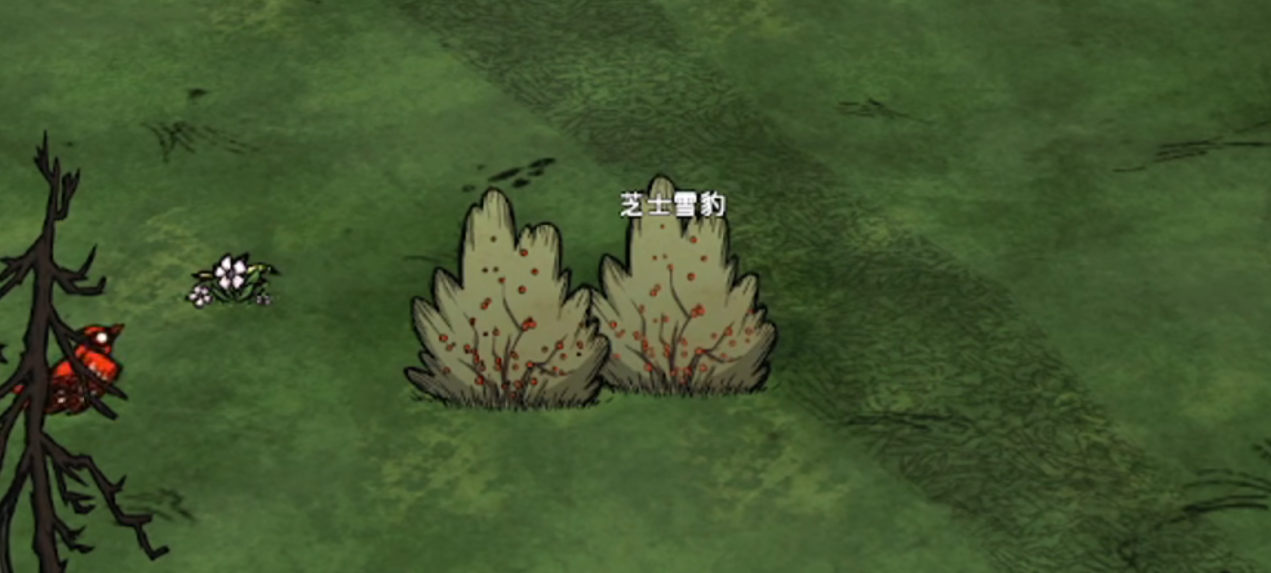 饥荒联机版伪装浆果丛如何使用
