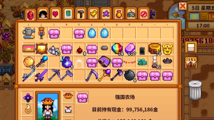 星露谷物语有哪些实用的饰品