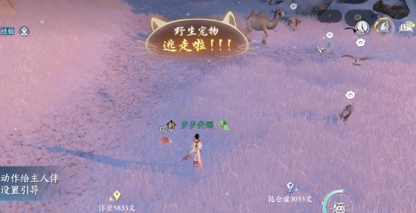 逆水寒手游怎么抓宠物