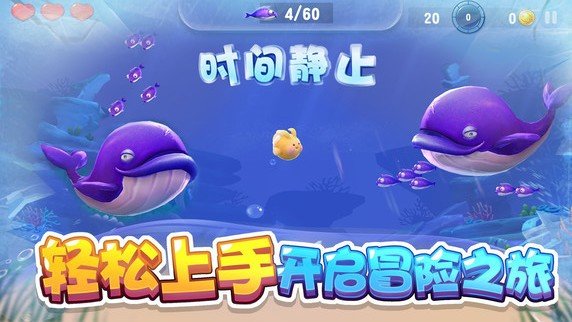 大鱼来了手机版-01