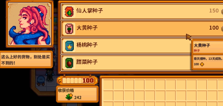 星露谷物语绿洲商店有哪些值得买的