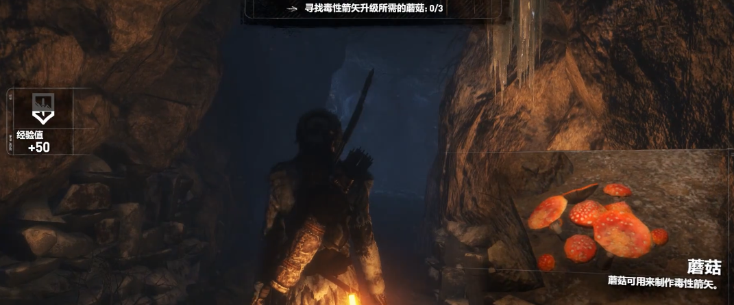 古墓丽影暗影毒箭怎么制作