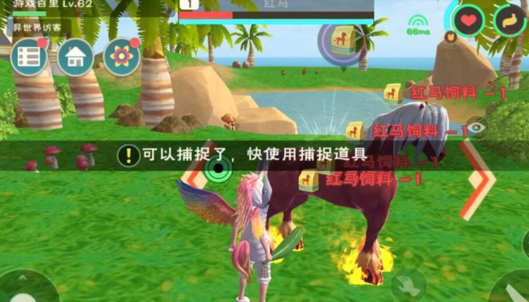 创造与魔法火马吃多少饲料 创造与魔法火马吃多少饲料