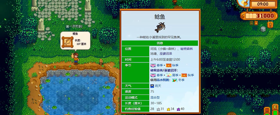 星露谷物语秘密森林在哪里 星露谷物语秘密森林在哪里