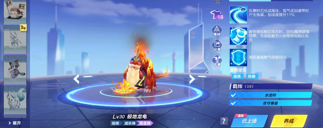 qq飞车手游哪个宠物竞速最好