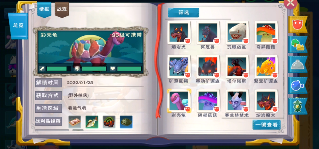 创造与魔法彩壳龟在哪