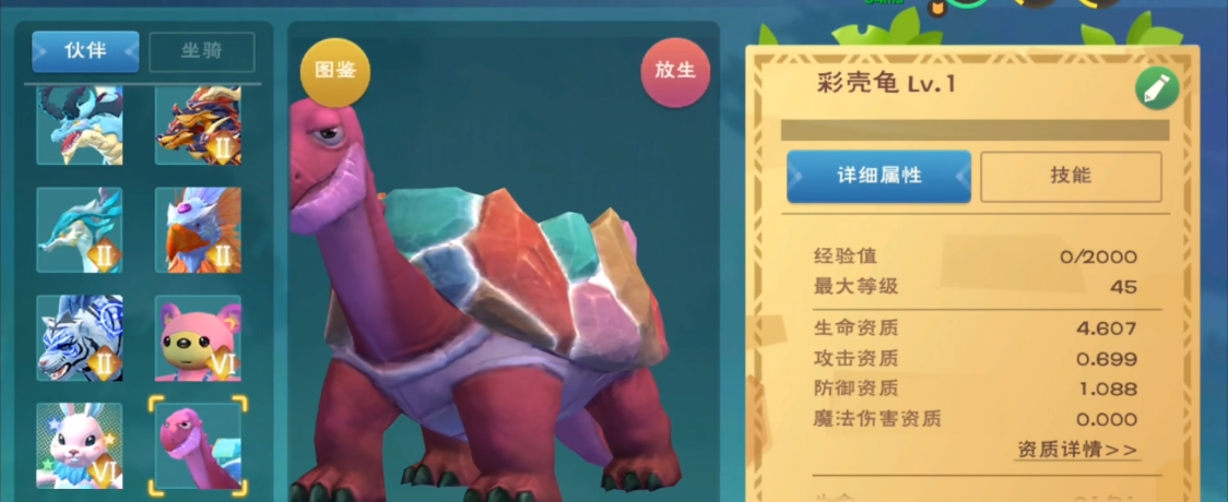 创造与魔法彩壳龟在哪