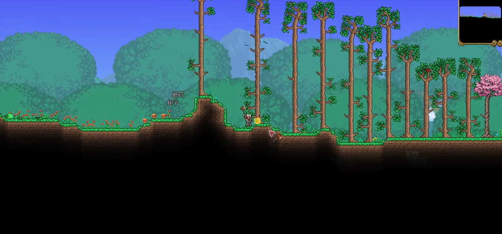 泰拉瑞亚大师和专家哪个好