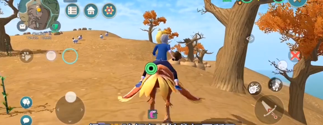 创造与魔法陆行鸟怎么抓