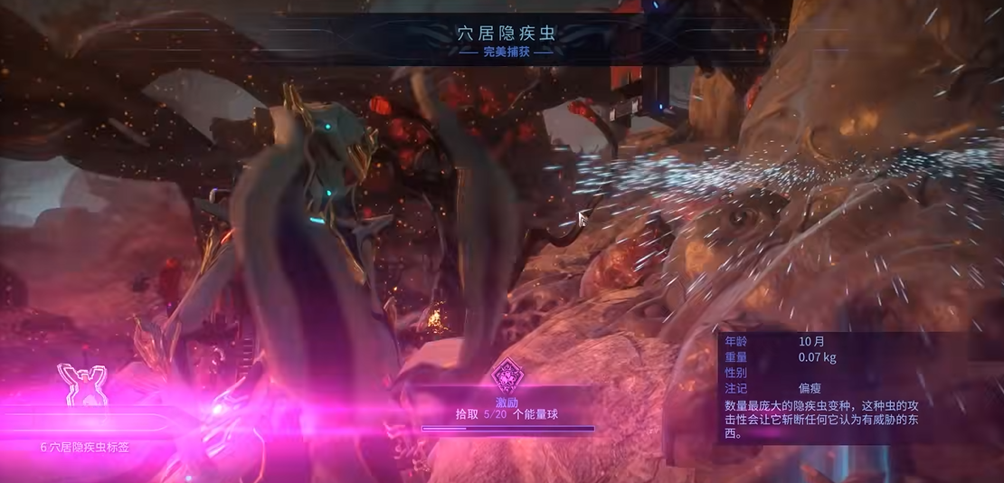 星际战甲火卫二动物怎么抓