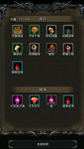 地下城堡2击败疯狂祭祀在哪里