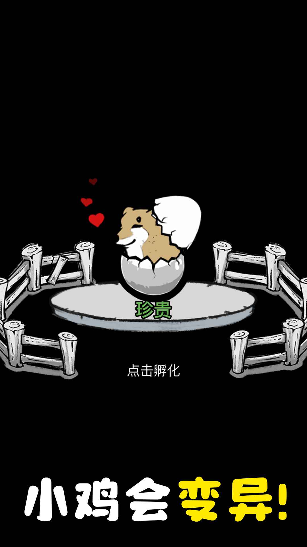 养鸡时长两年半-01