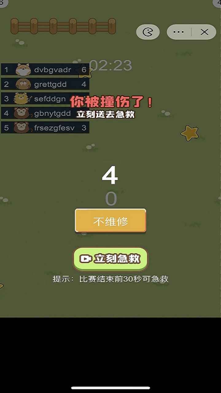 小动物之星-1