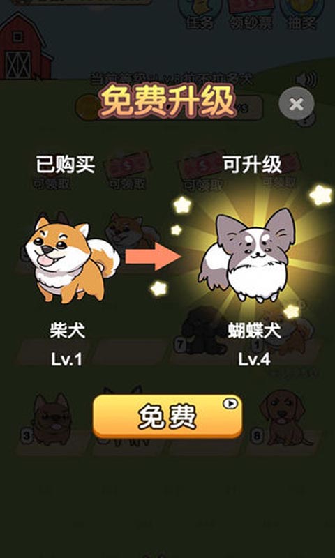 我的狗狗-4