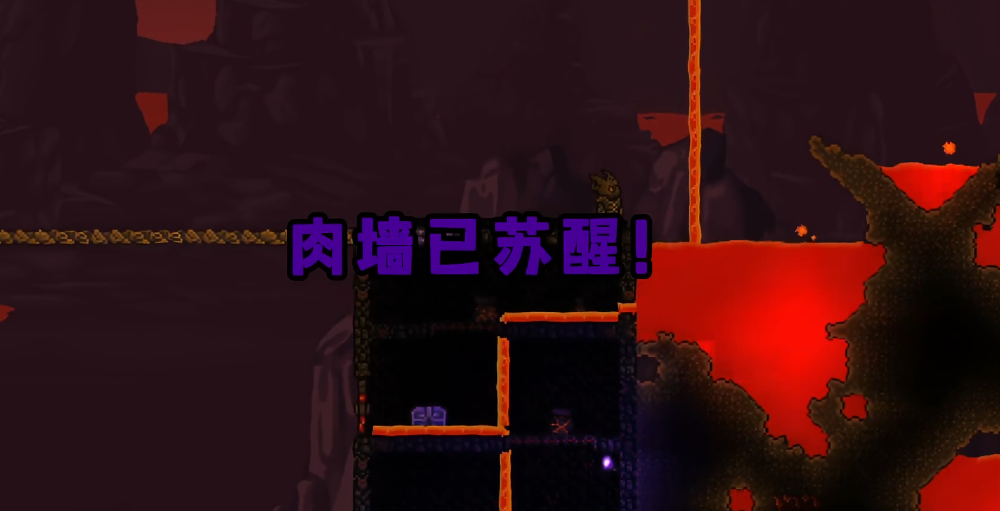 泰拉瑞亚专家肉山用什么打