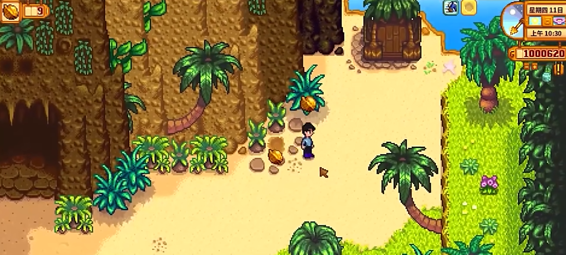 星露谷物语姜岛度假村怎么建