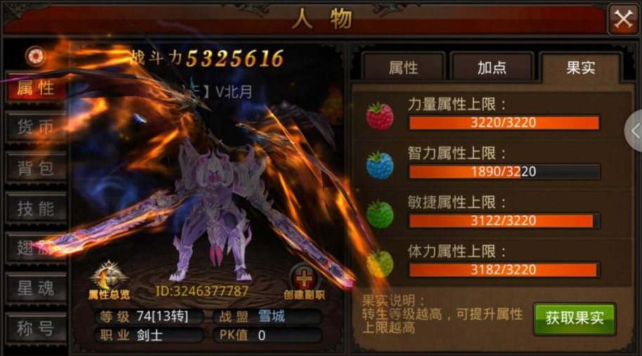 全民奇迹魔剑士怎么玩