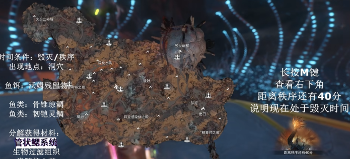 星际战甲稀有鱼在哪里刷 星际战甲稀有鱼在哪里刷