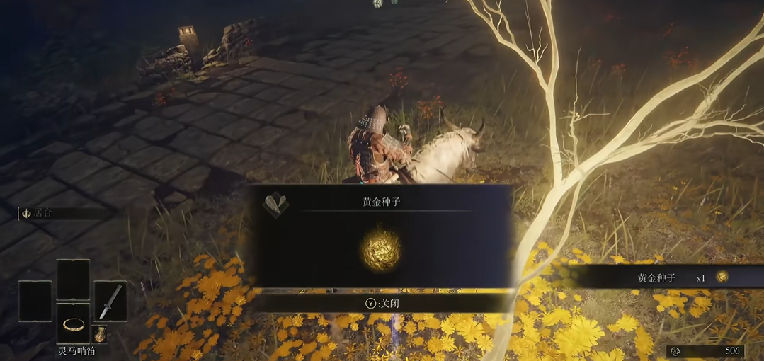 艾尔登法环黄金种子怎么获得