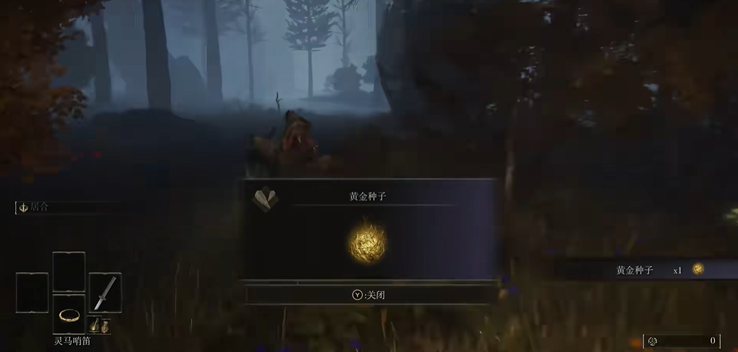 艾尔登法环黄金种子怎么获得