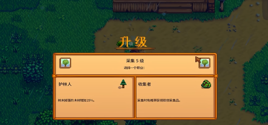 星露谷物语觅食5级选什么