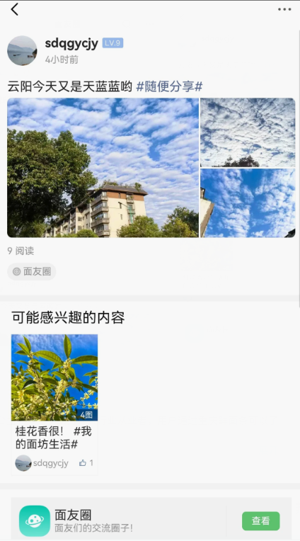 重庆鲜面条-01