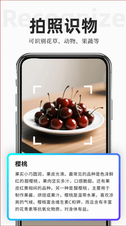 扫描专家-3