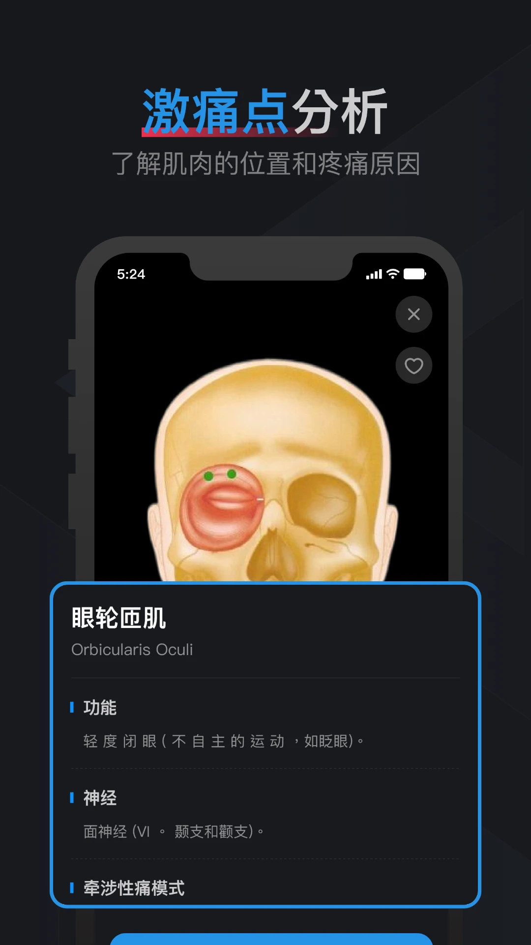 肌肉激痛点图谱-01