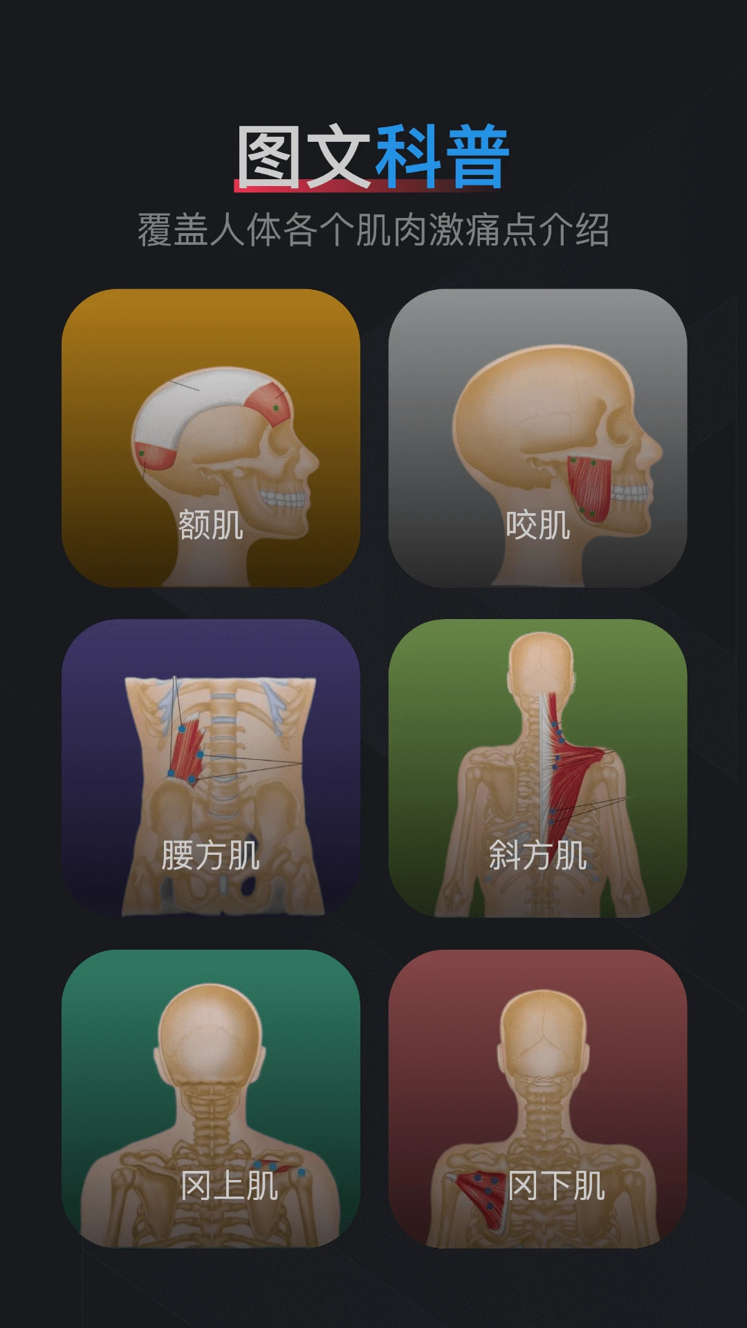 肌肉激痛点图谱-01