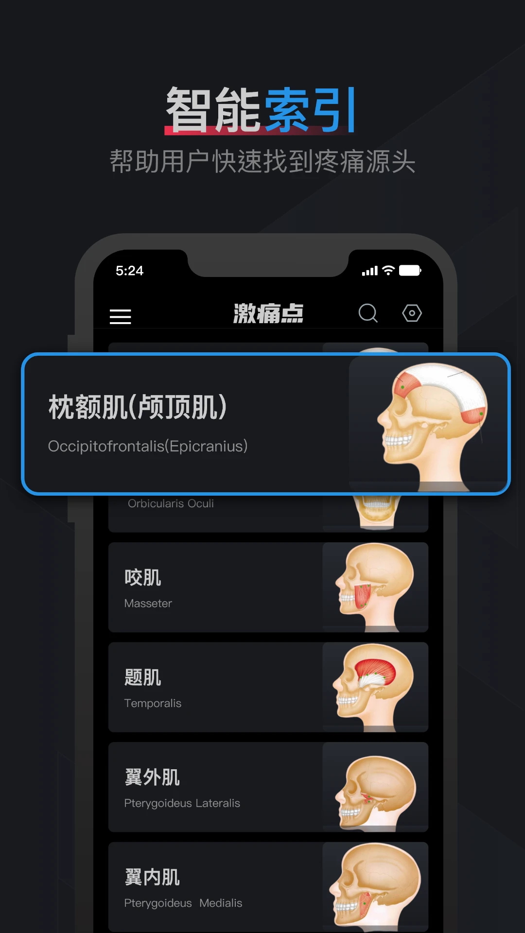 肌肉激痛点图谱-01