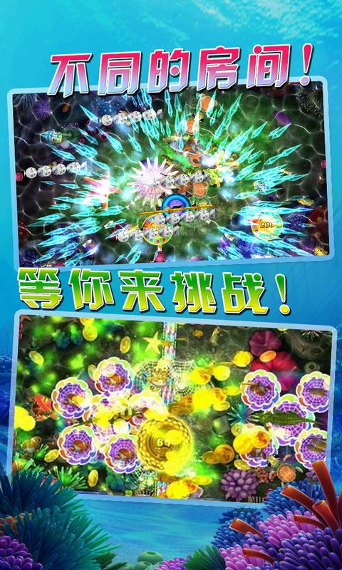 飞禽走兽官方版正版-01