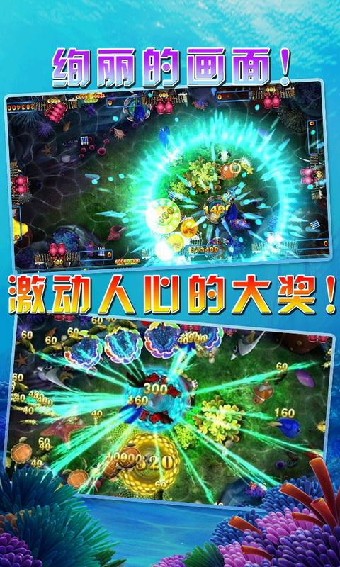 飞禽走兽官方版正版-01